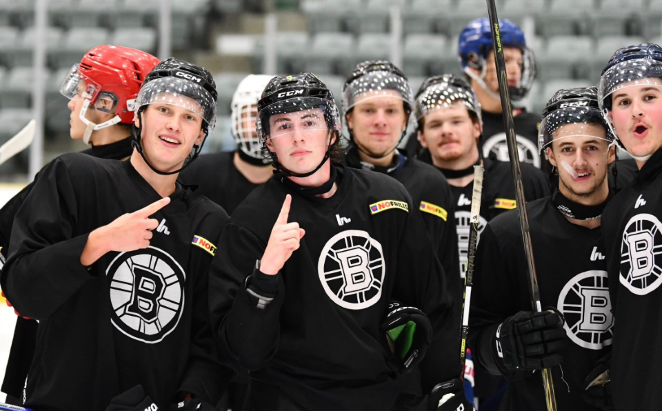 Bruins