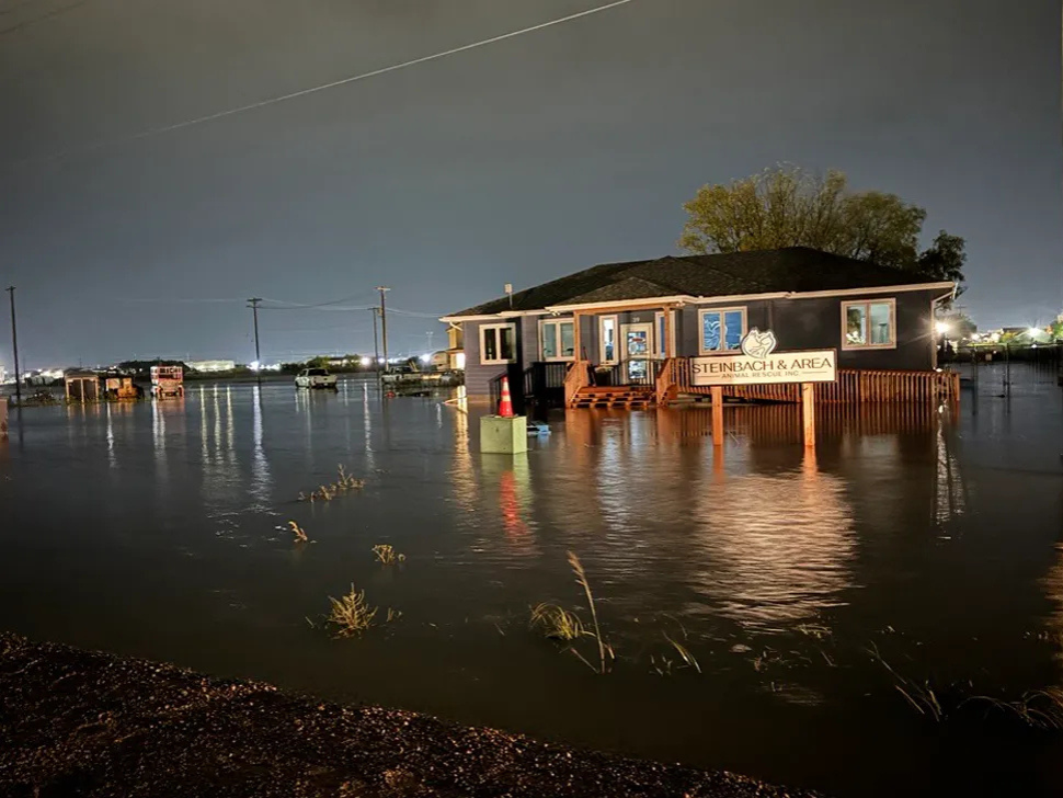 Steinbach and Area Animal Rescue surrounded by high water Friday morning.
