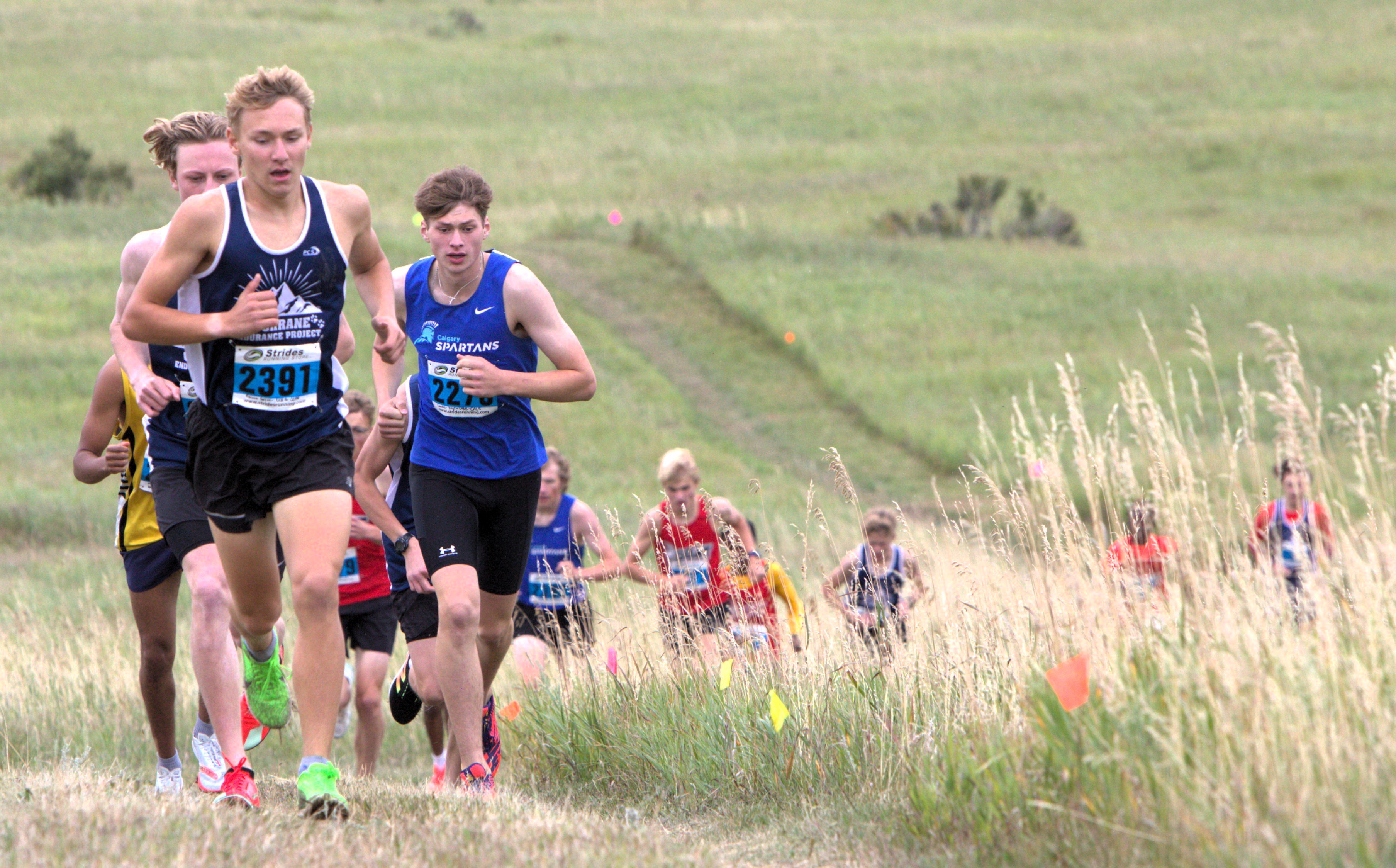 CEPR cross country race