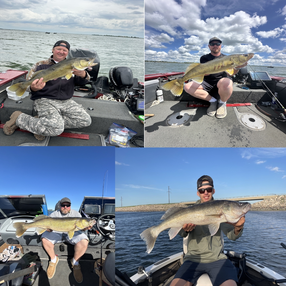bs phishing league collage