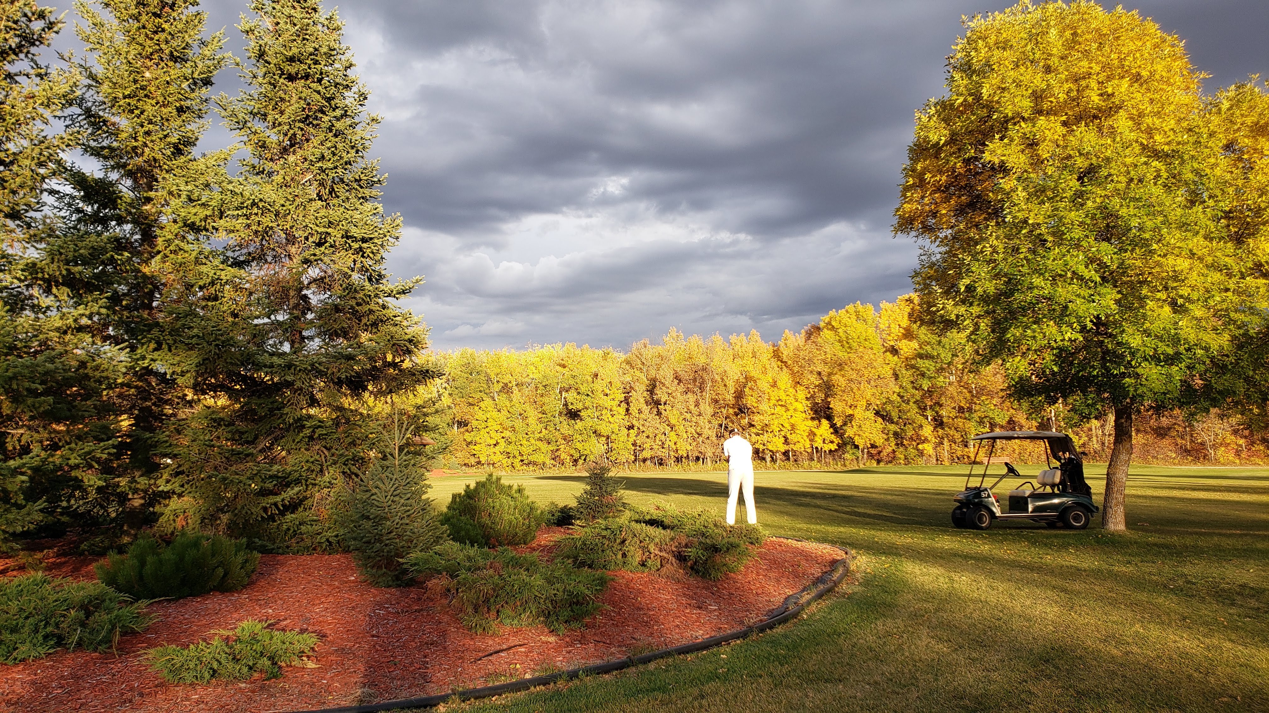 A man golfs with fall colours on trees in the background