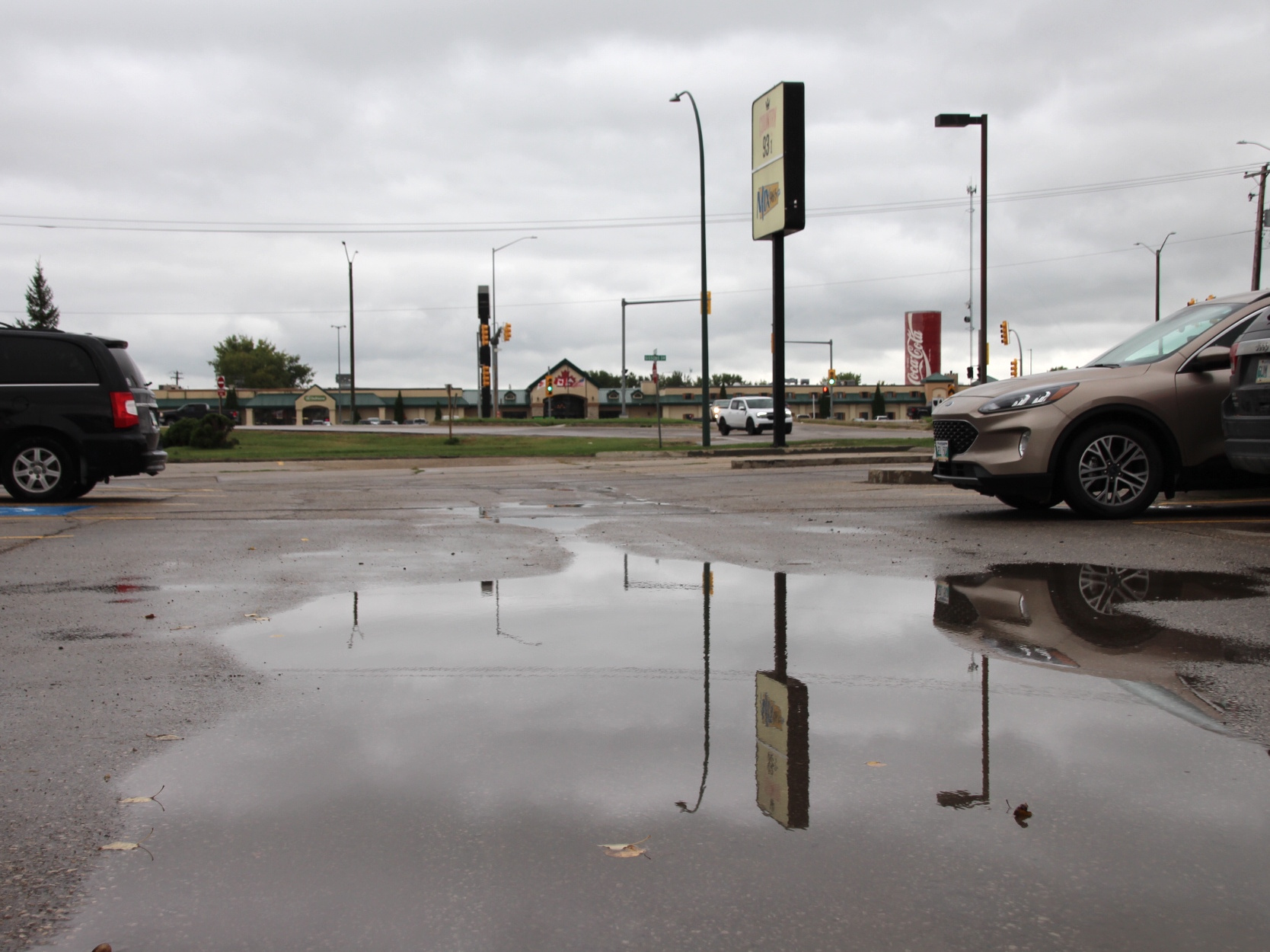 Cars and school buses parked in a wet lot in Portage la Prairie under steady rainfall.