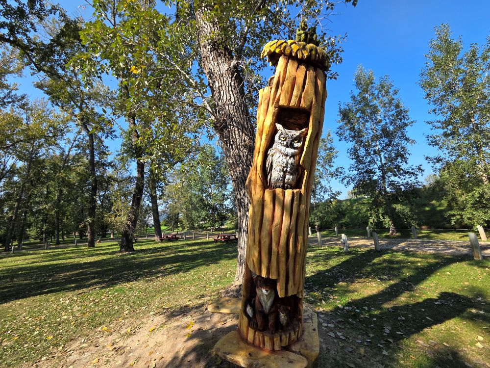 Tree art carving in High River.
