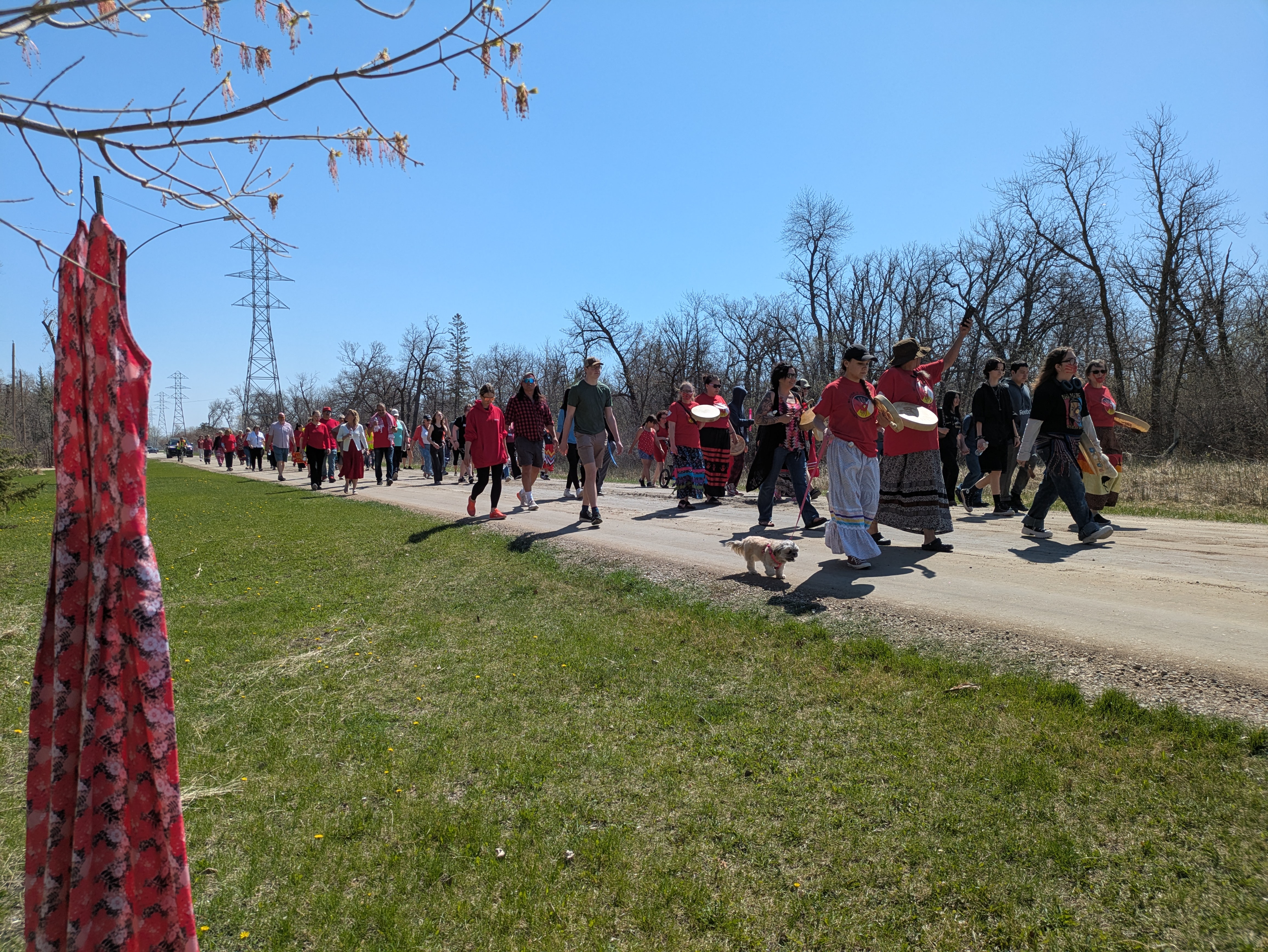 A red dress hanging from a tree as the group finished the second annual Red Dress Day Walk