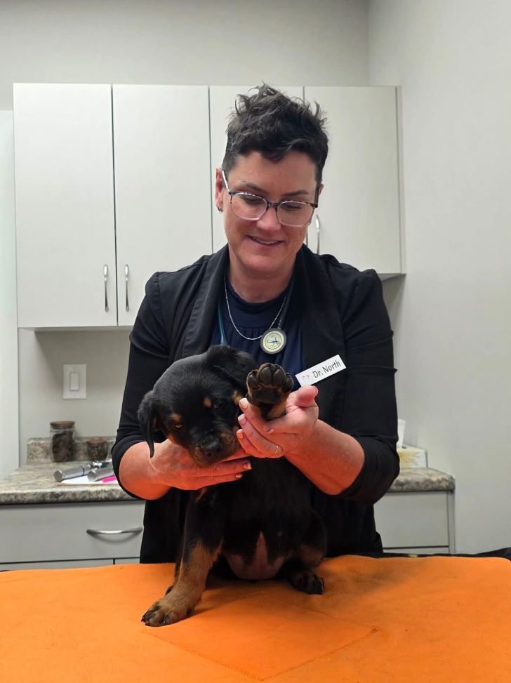 Dr. Marie North, who currently owns and operates Carberry Small Animal Veterinary Clinic and co-owner of the new Prairie Vet which is expected to open in Portage this fall. Submitted Photo/Dr. Marie North