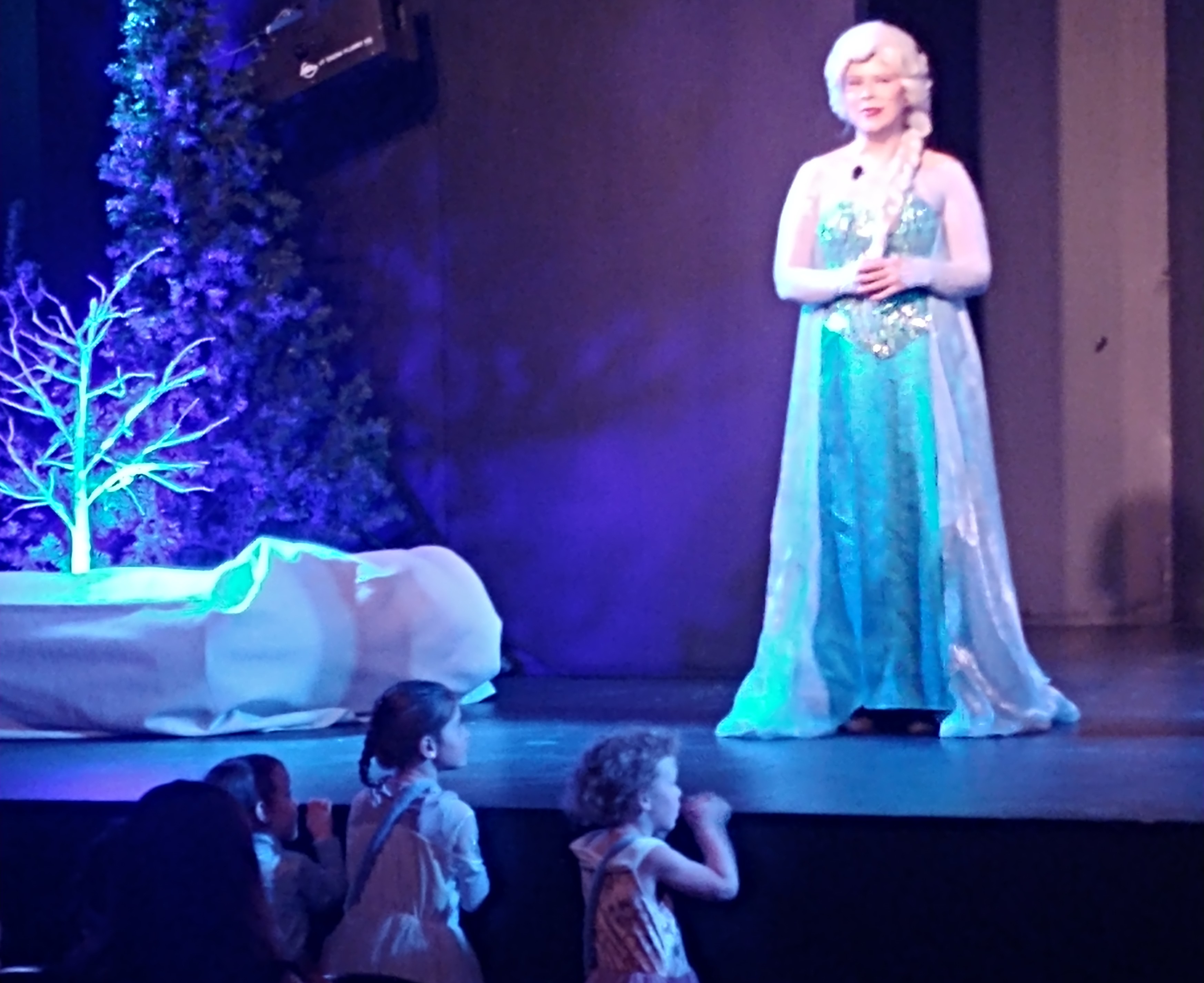 Elsa Frozen In Time