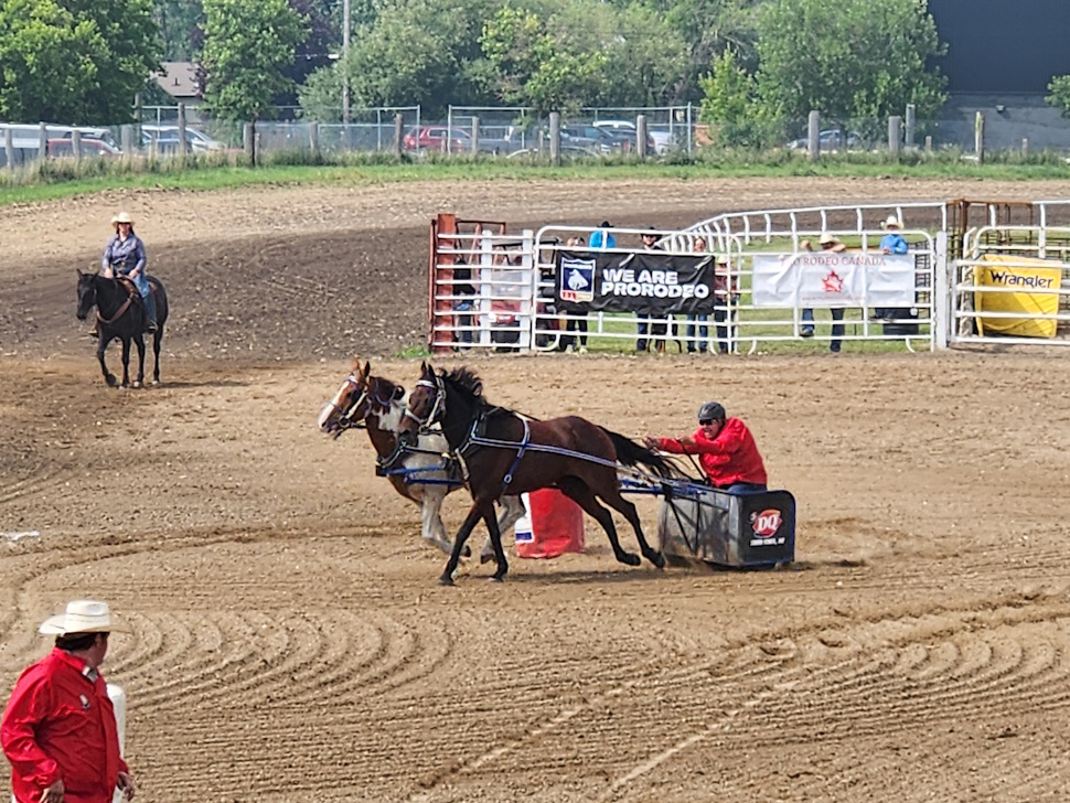 Chuckwagon races, happening at full speed of horse power, making the crowd cheer. PortageOnline/ Tristen Sokolosky