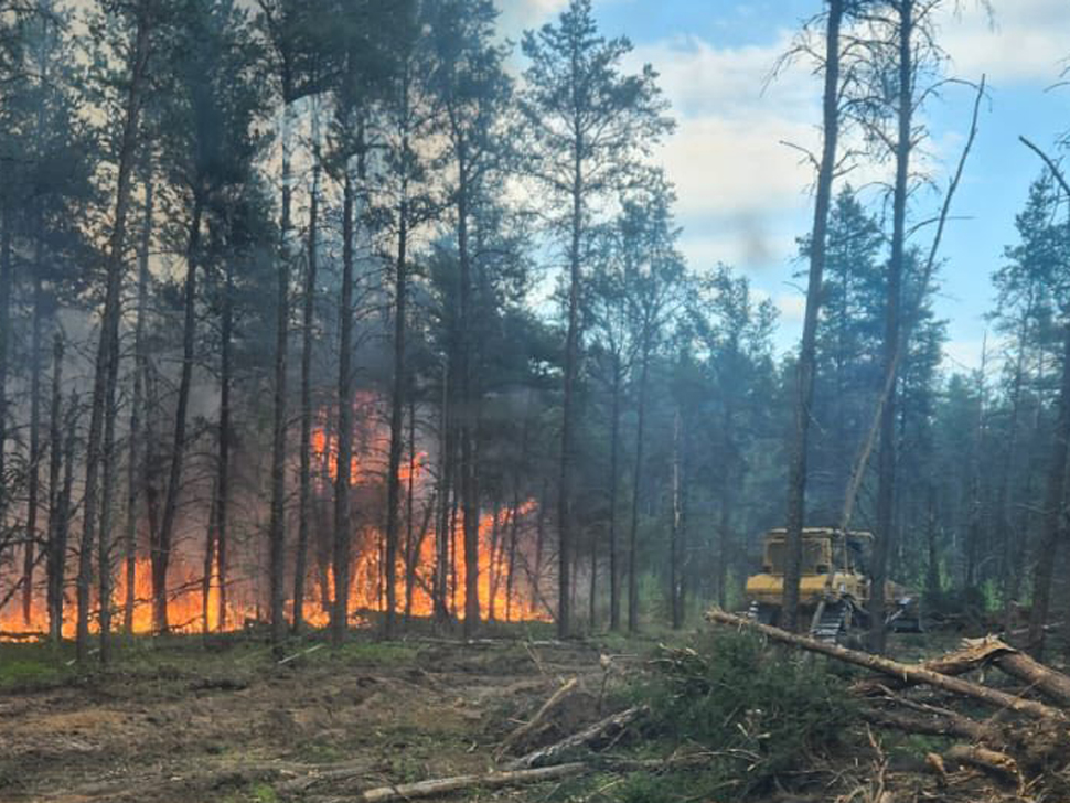 Fire burning along the ground in a forest. There is a bulldozer nearby.