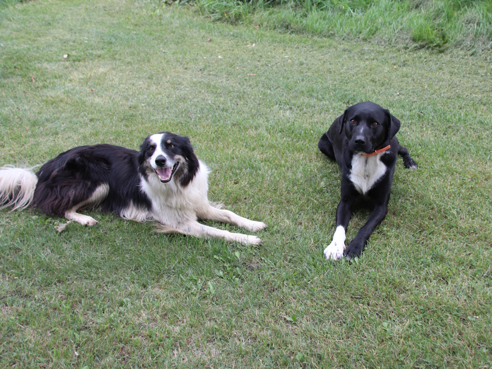 Monty and Opus