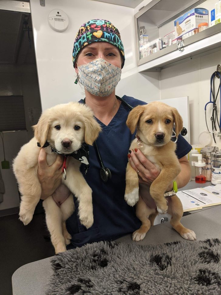 Dr. Rebecca Zettler, who operates Zettler Veterinary Services in Treherne, is a co-owner of Prairie Vet, expected to open its doors in Portage this October or November. Submitted Photo/Dr. Rebecca Zettler