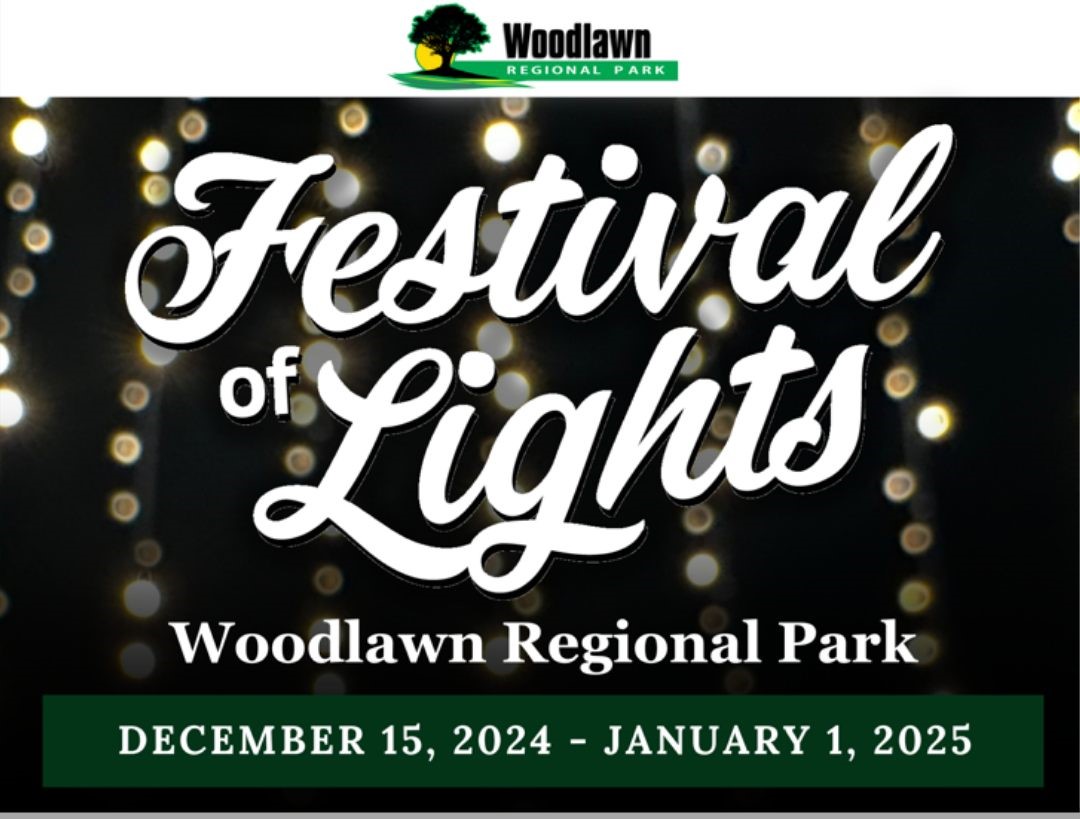 FESTIVAL OF LIGHTS