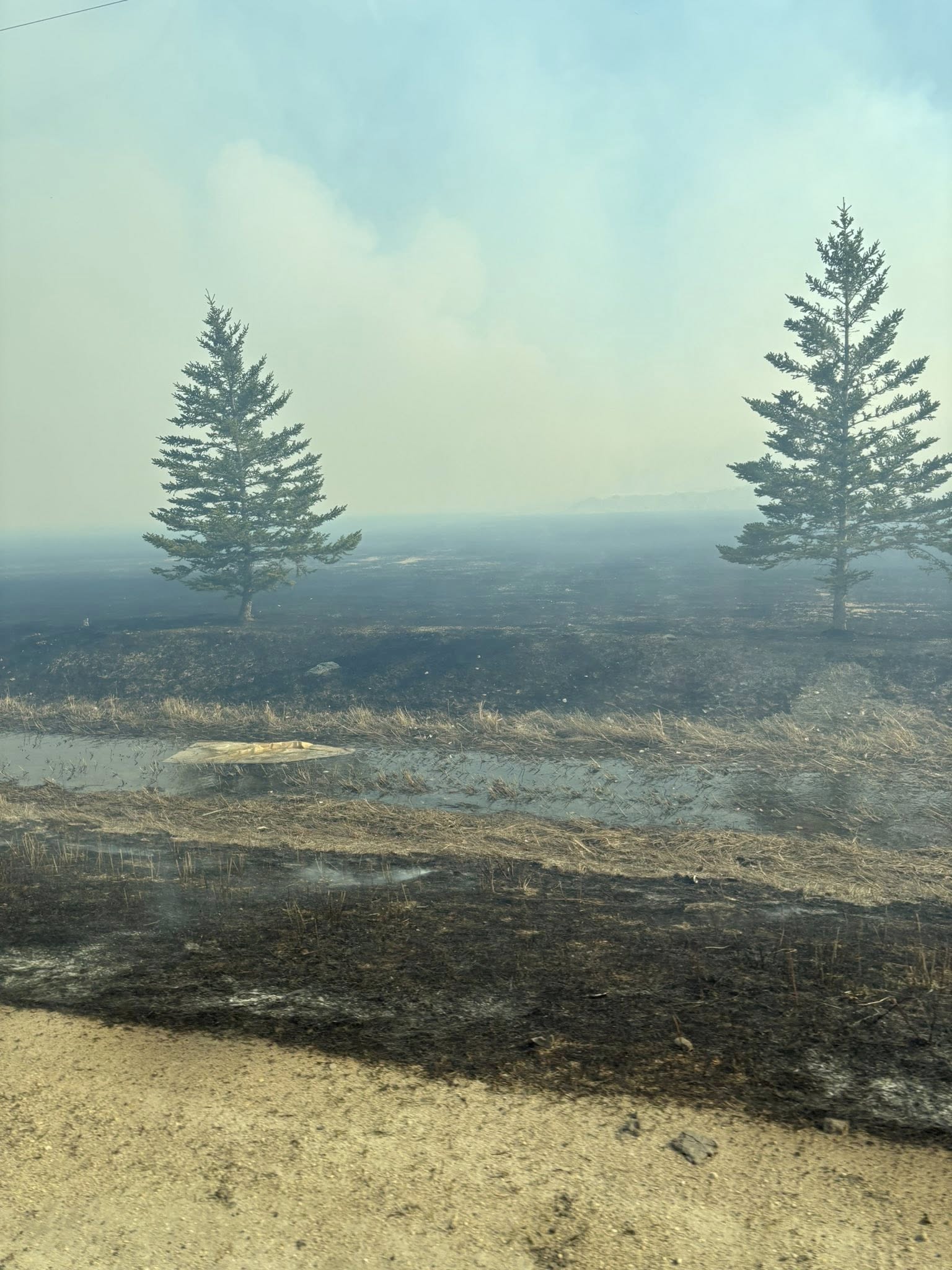 Scorched earth and surviving trees mark the landscape near Sandy Bay Ojibway First Nation, Manitoba, on Sunday, April 27, 2025, following weekend wildfires driven by dry conditions.