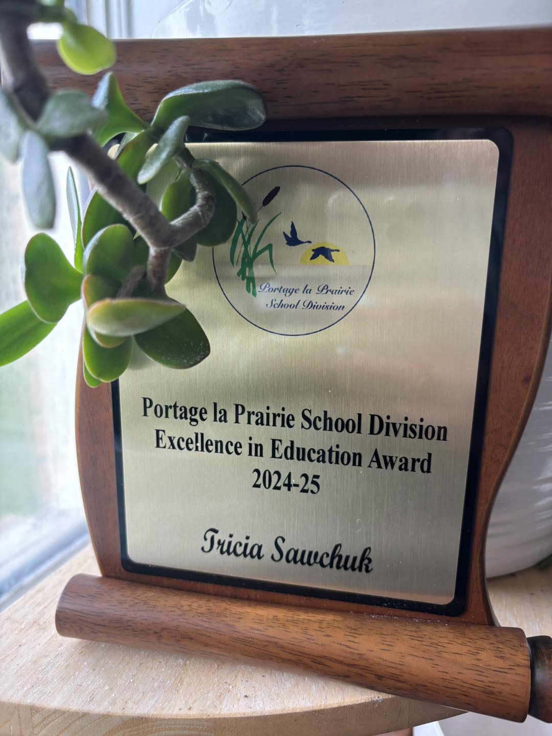 A close-up photo of Tricia's Award of Excellence