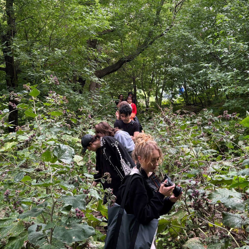 Participants of the Plug In Institute of Contemporary Art's Summer Institute tracing the historical bed of Colony Creek. (Supplied)