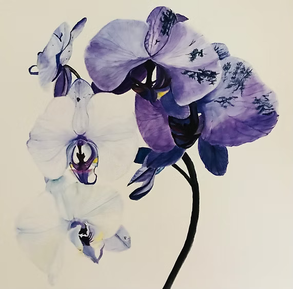 'From Darkness to Light' by Terry Murray. (Source: Harte Trail Studio Art Tour)
