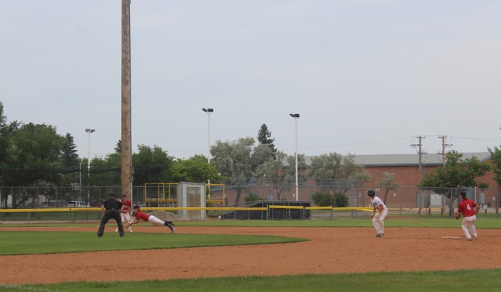 Cardinals Dive.JPG 
