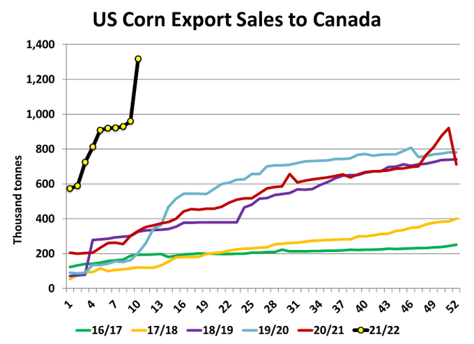 Courtesy Chuck Penner, Left Field Commodity Research