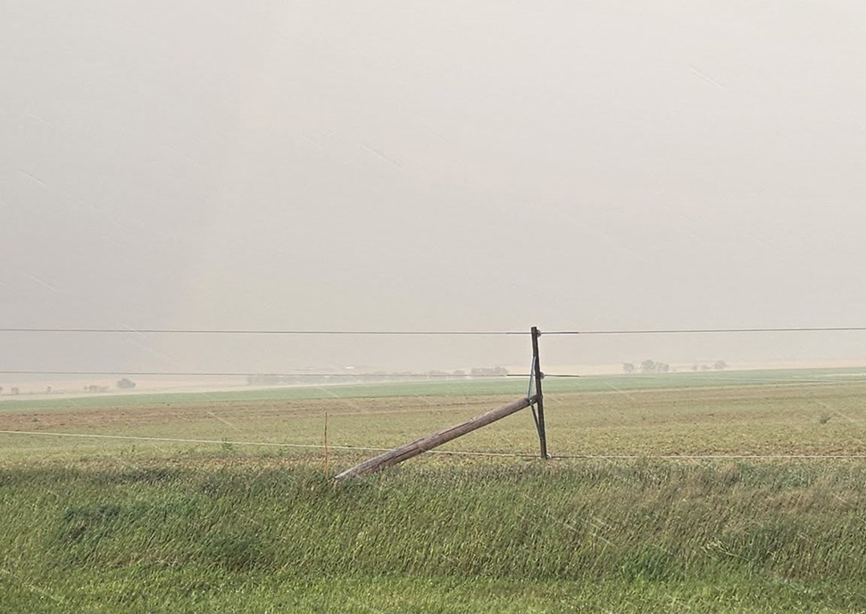 Downed lines