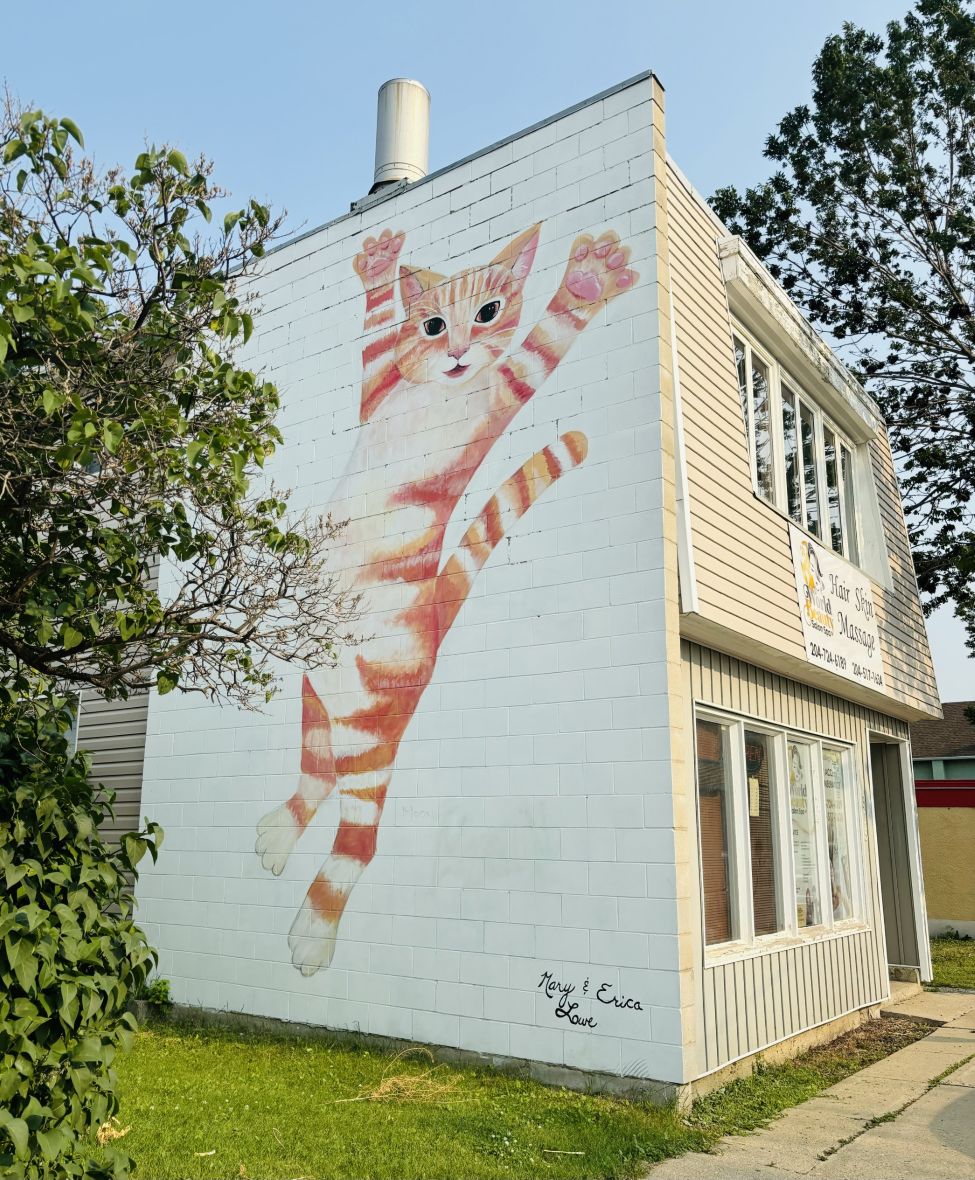This image has been removed. For security reasons, only images from the local domain are allowed. Image removed.