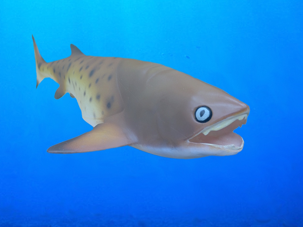 Illustration of Elmosteus lundarensis, a prehistoric fish with bony armour, fins, and a jaw, based on fossil evidence from Manitoba’s Interlake region.