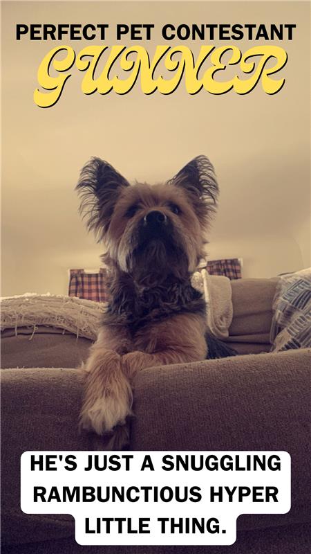 Gunner