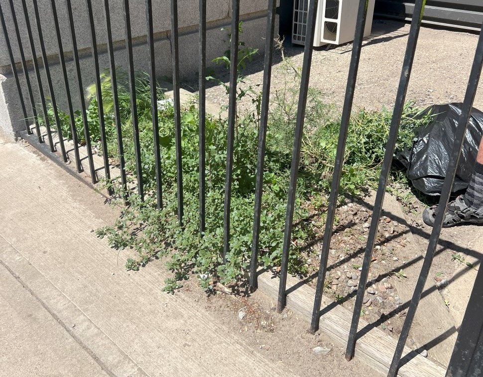 This image has been removed. For security reasons, only images from the local domain are allowed. Image removed.