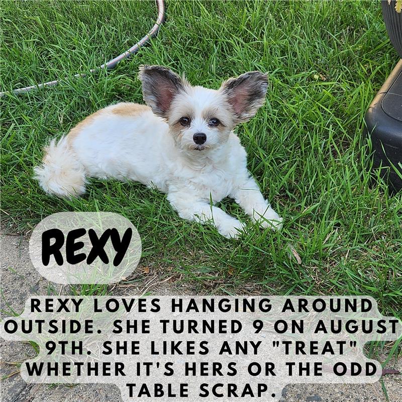 Rexy