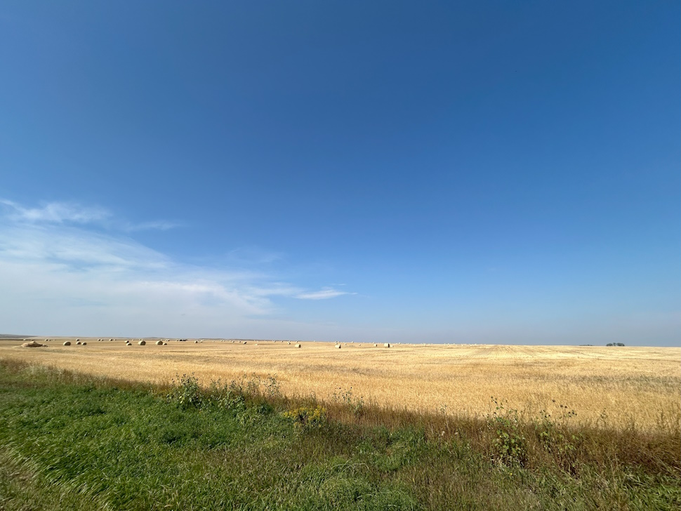 This image has been removed. For security reasons, only images from the local domain are allowed. Image removed.