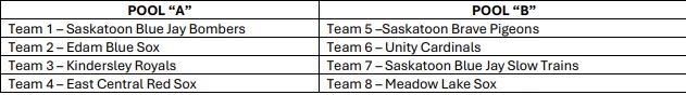 Kindo provincial teams.jpg 