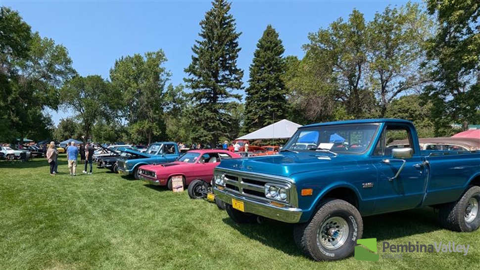 cars in a park