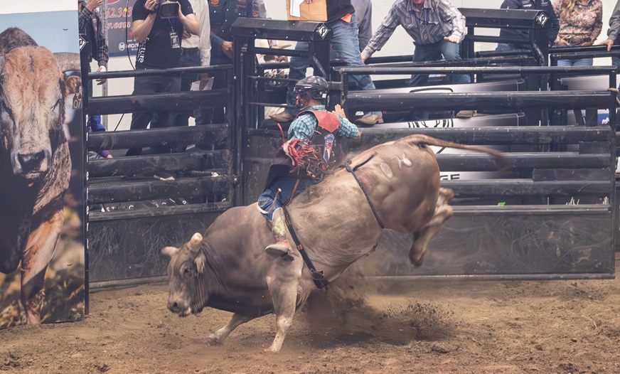 PBR article 8_0.jpg 