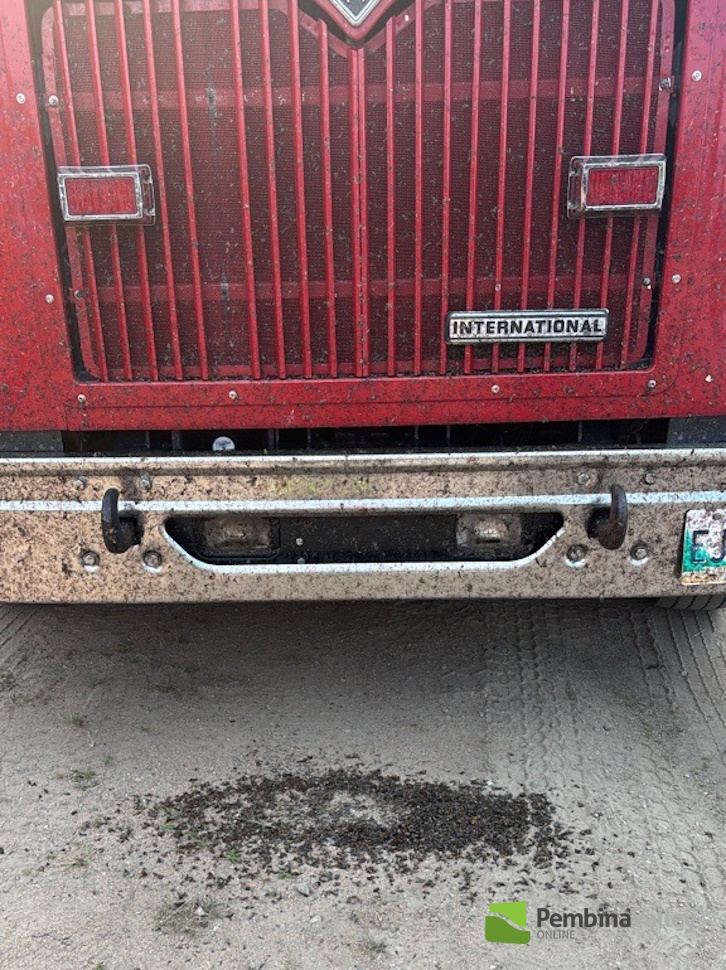 Bugs coating the bumper of a fire truck
