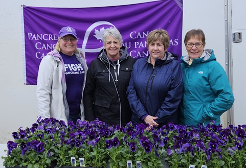 Pansies Picture 5.jpg