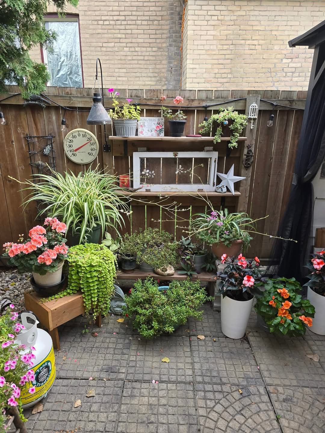 Some of the flowers Rose and Keith Park have planted in their beautiful yard