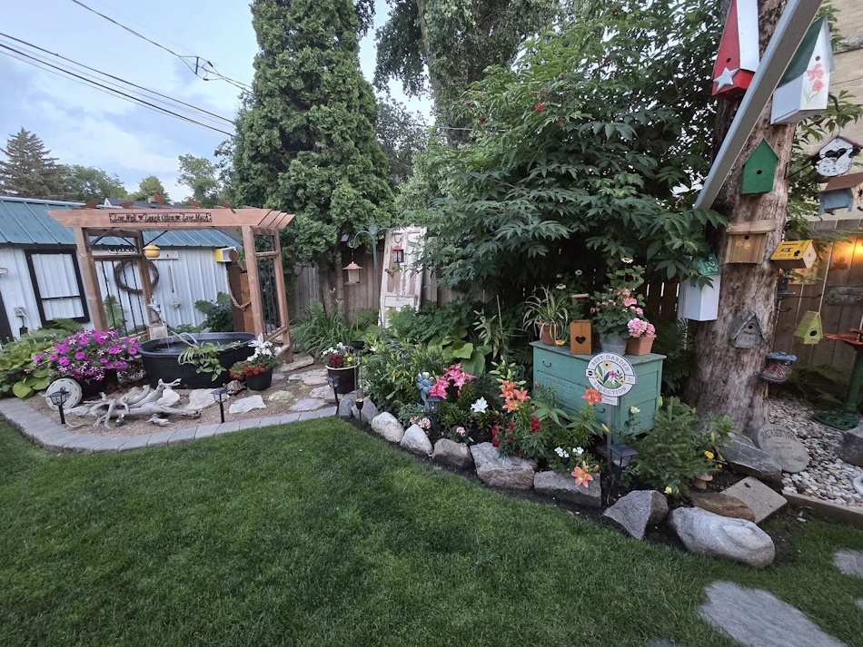 Rose and Keith Park's backyard oasis
