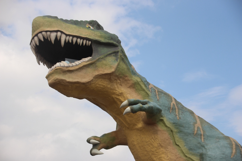 This image has been removed. For security reasons, only images from the local domain are allowed. Image removed.
