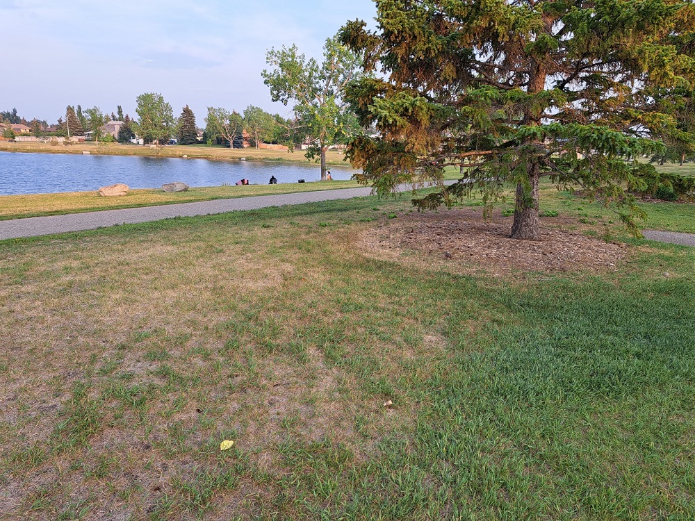 Resident raises concerns over Emerson Lake