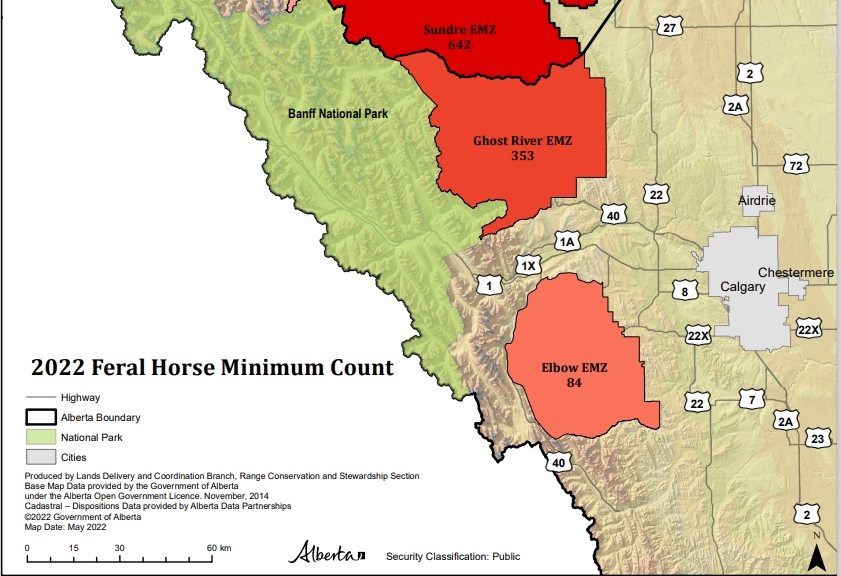Horses running wild west of Okotoks and High River