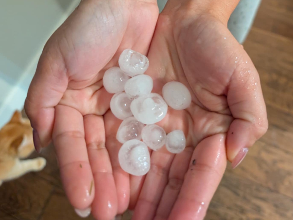 Hands holding several pieces of hail the size of a toonie, collected after a severe thunderstorm in Portage la Prairie.