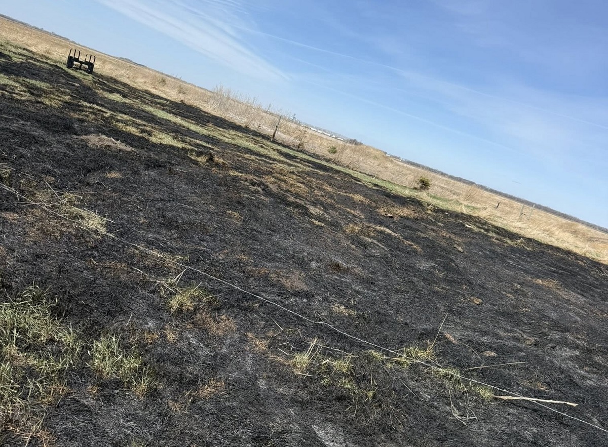 blackened field area after grass fire