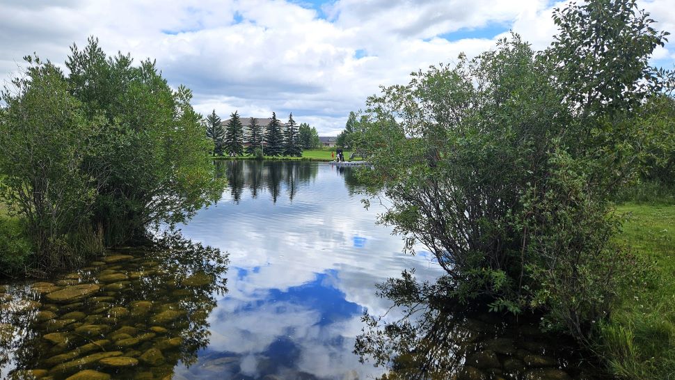 mitford pond 1