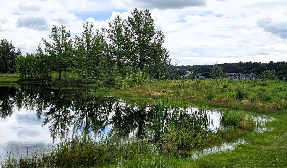 pond 2