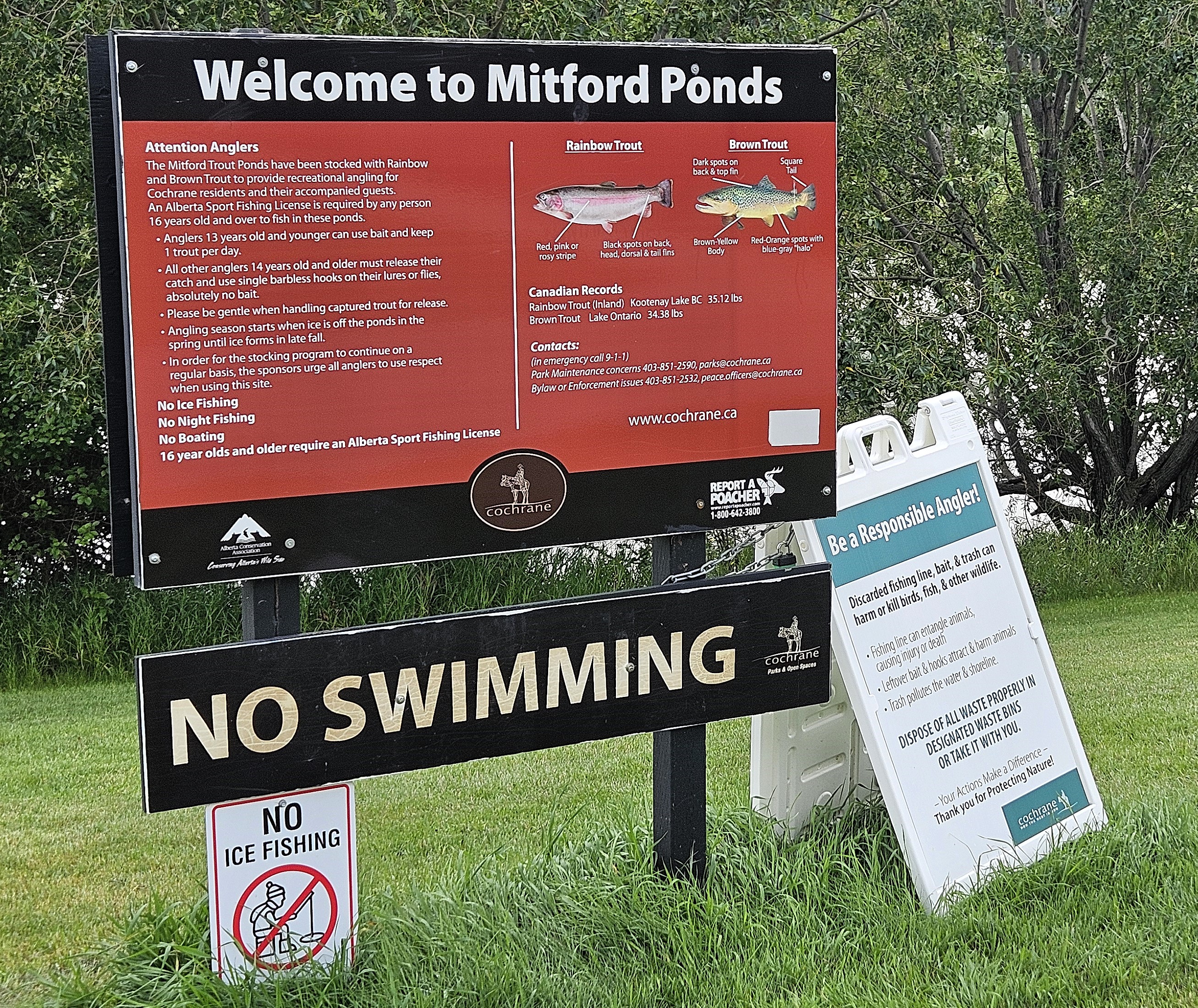 mitford sign 2