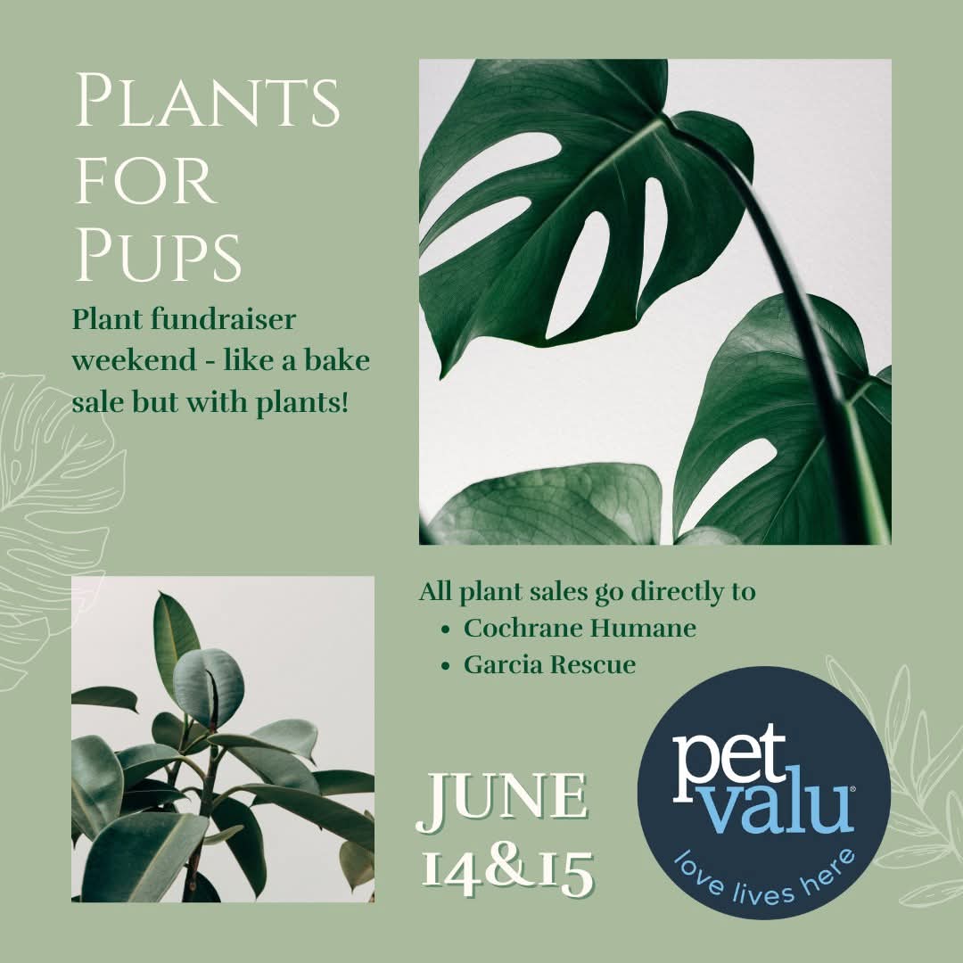 Plants for Pups 2025