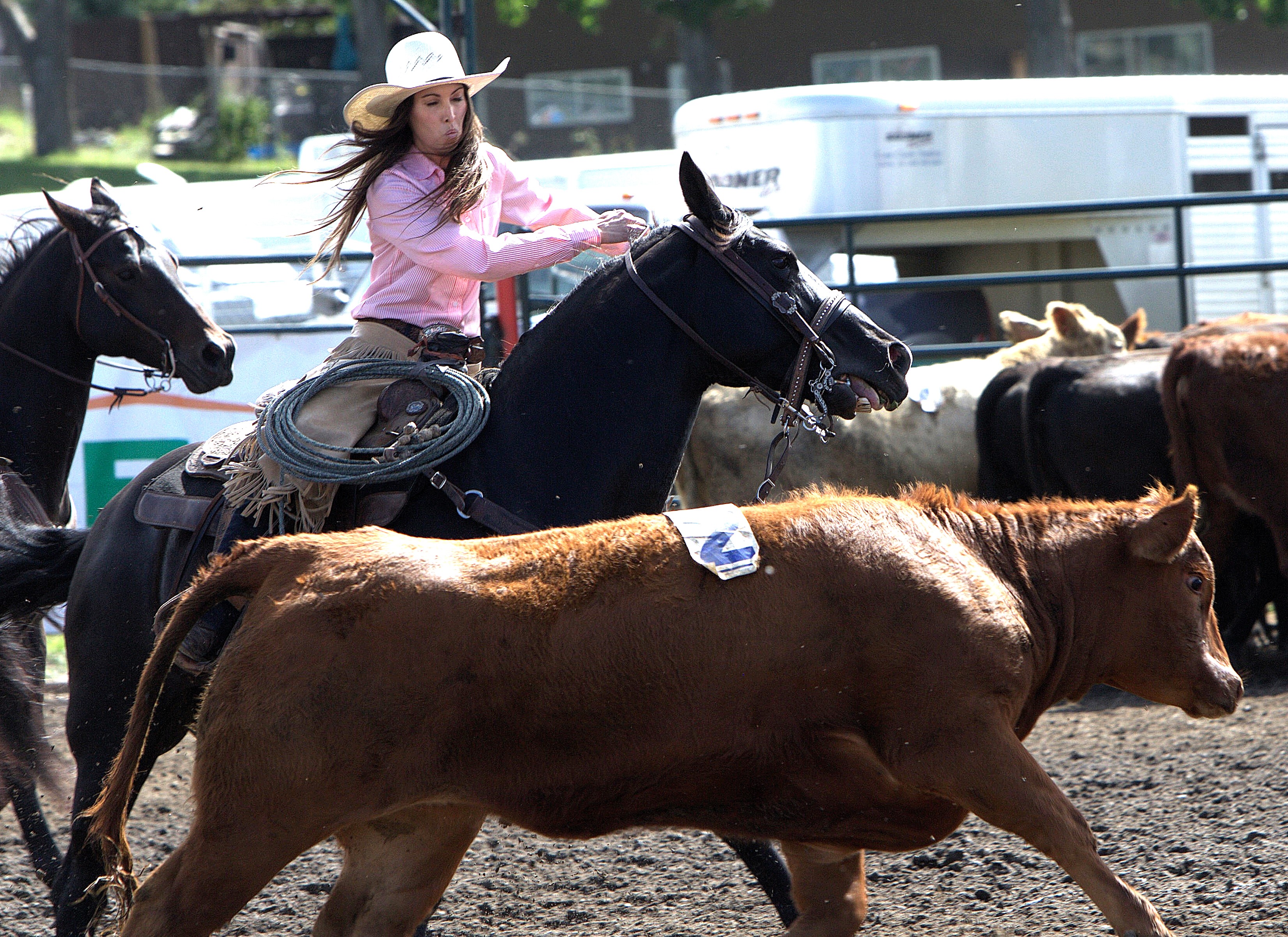 ranch rodeo