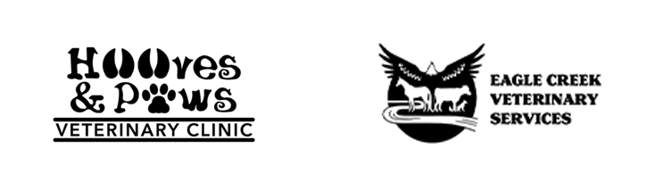 Sponsors