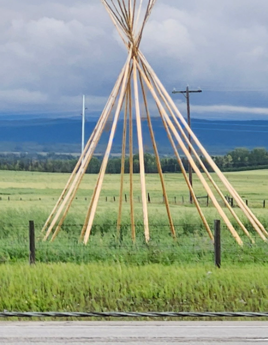 tipi 4