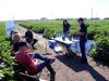 Ceres Global Insight Tour