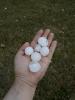 a hand full of hail