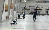 Provincial Seniors Men’s and Women’s Curling Championships